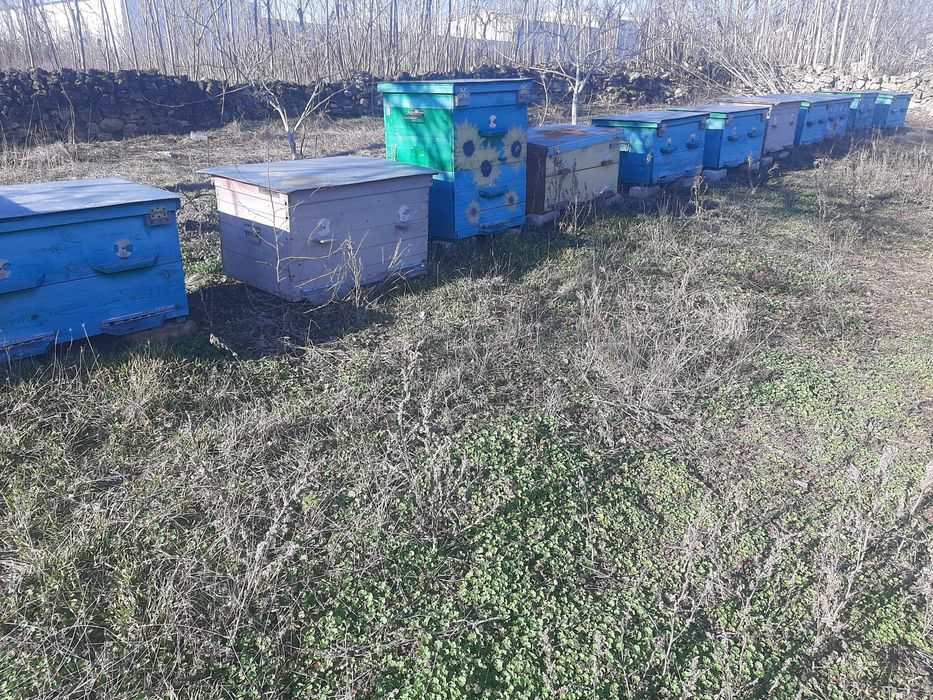 Продам улики для пчел б/у
