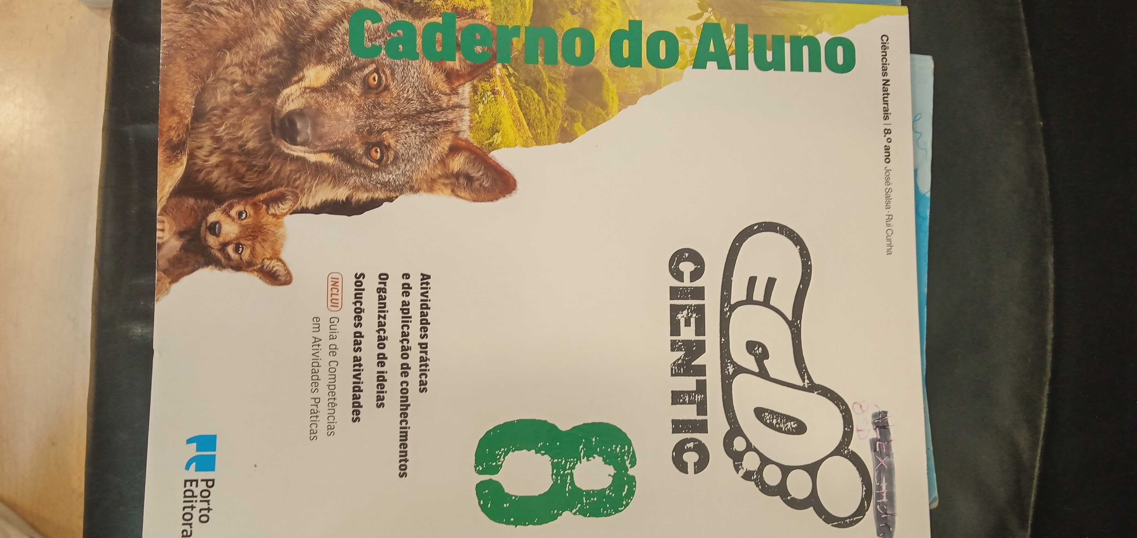 Livros e cadernos de actividades/fichas 6° 7° 8° ano