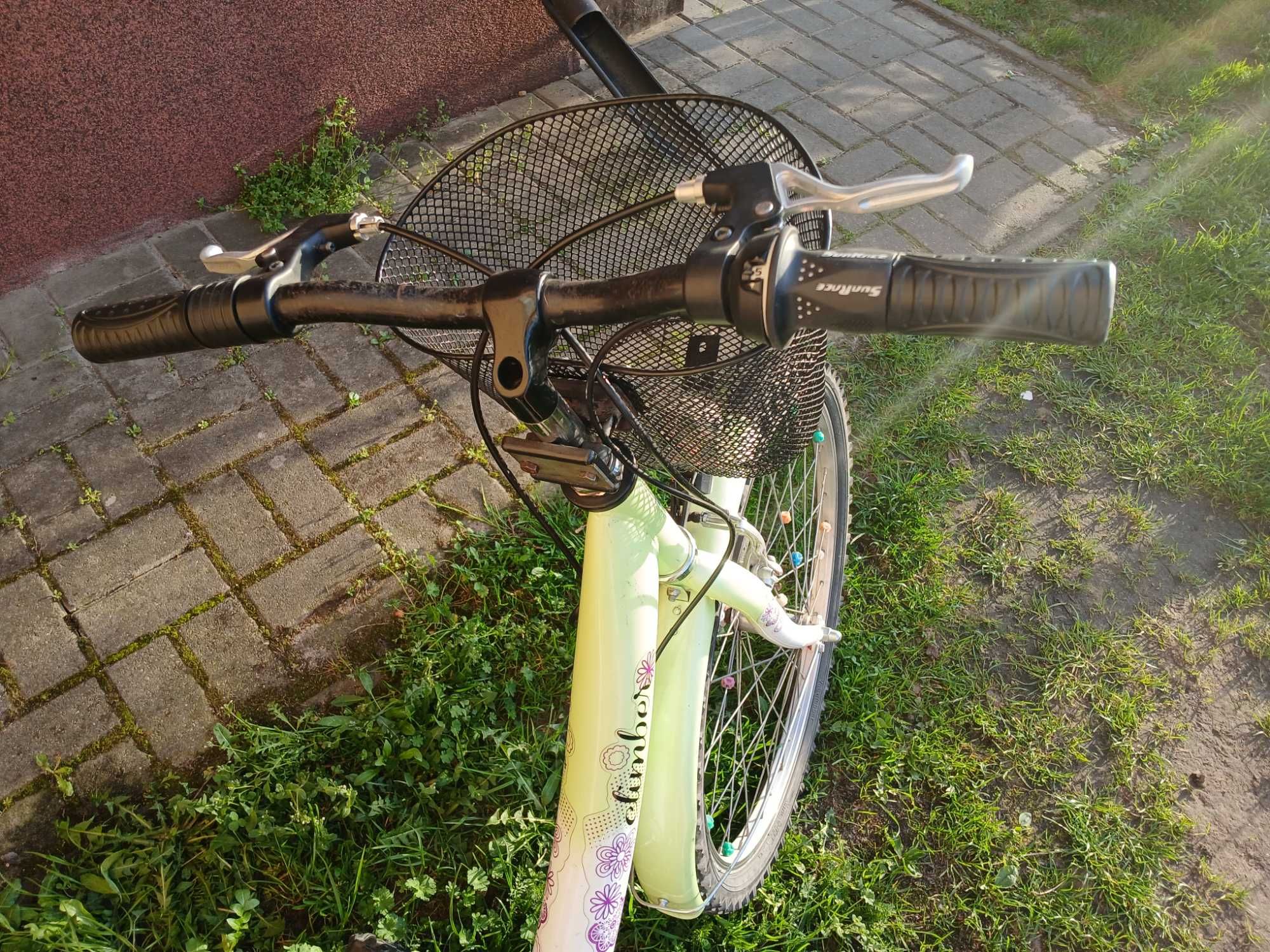 Rower koła 24 cale