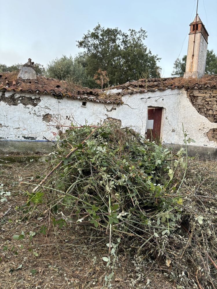 Limpeza de terrenos /Limpeza de arvores /Corte de lenhas /