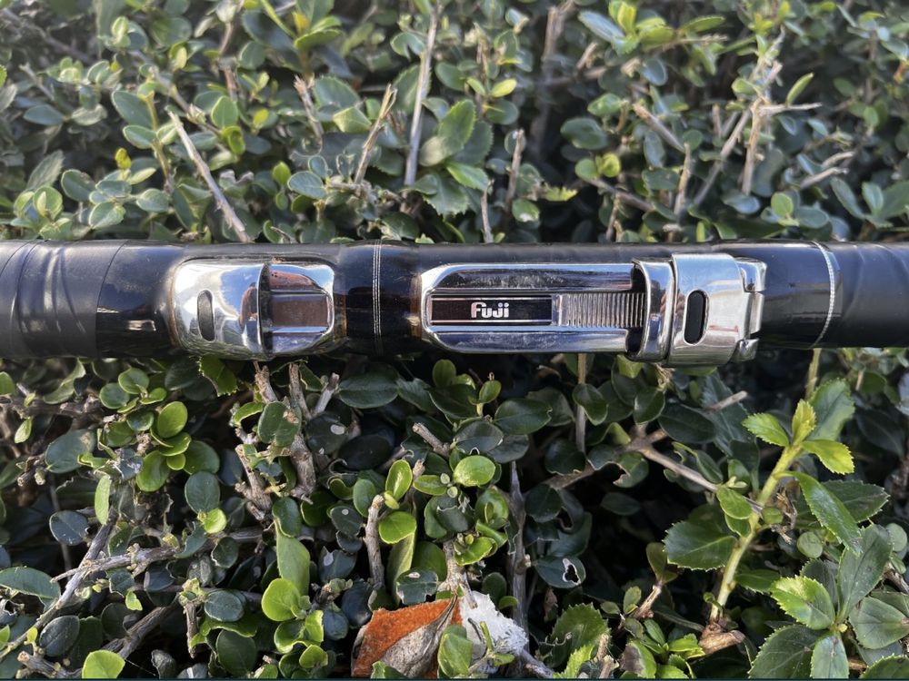 Cana Vega Warrior P-600