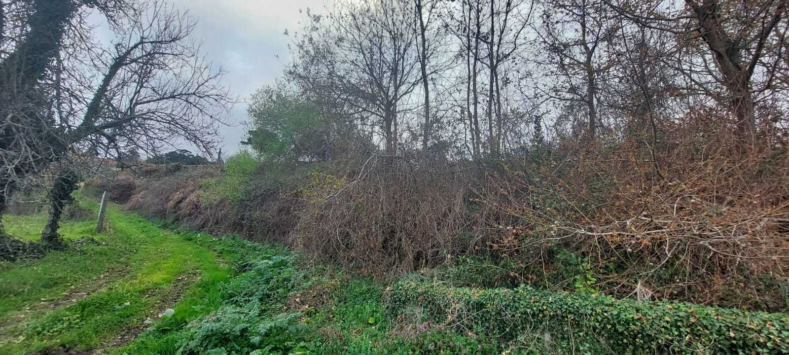 Terreno Rústico à Venda em São Julião e Silva, Valença