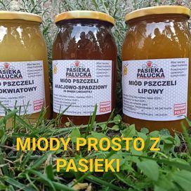 Miód lipowy 1,2 kg zbiór z 2023