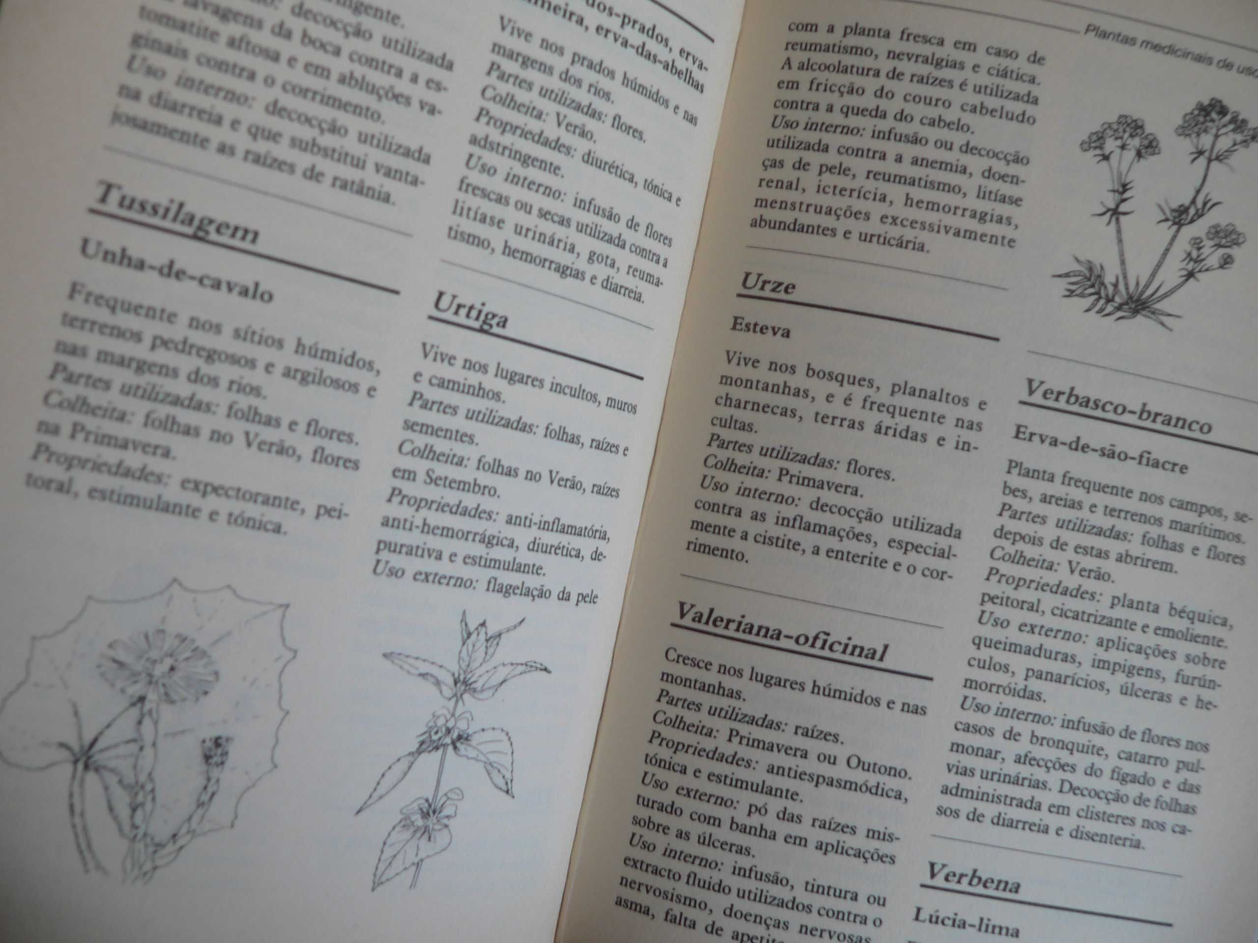 Mini enciclopédia das Medicinas Naturais