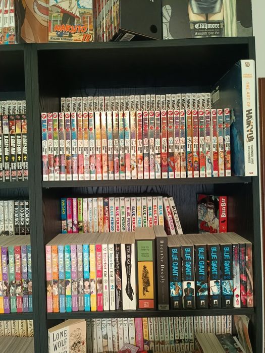 Coleção Manga Completa