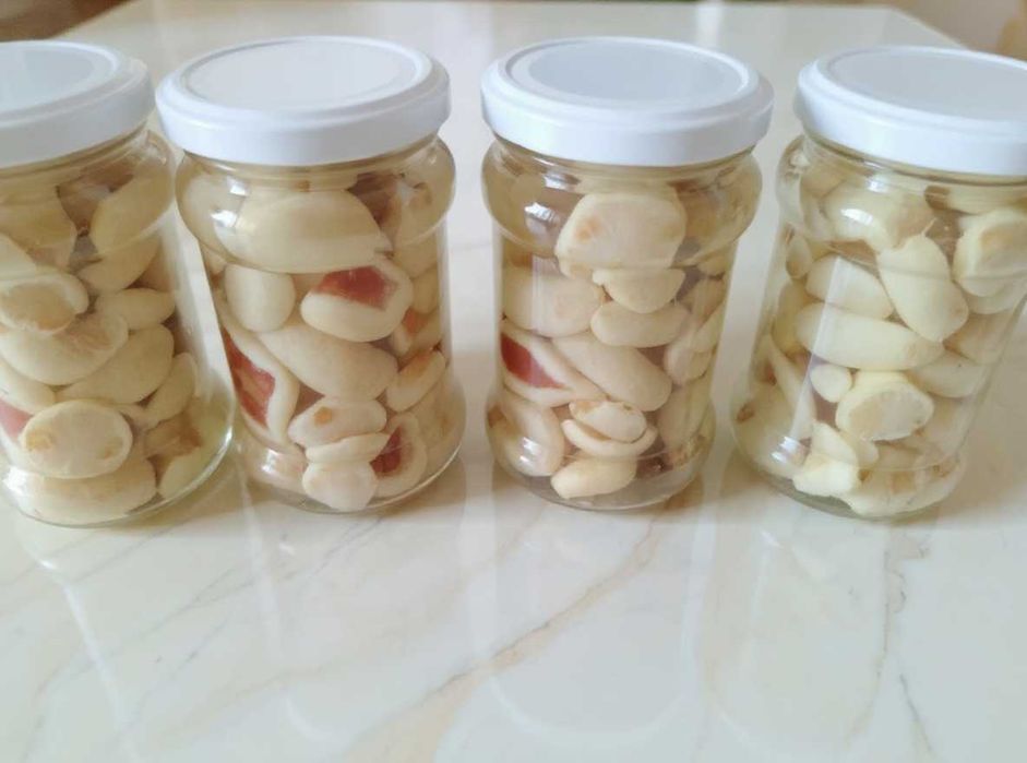 Grzyby marynowane prawdziwek, maślak, rydze, gąski, grzyby suszone