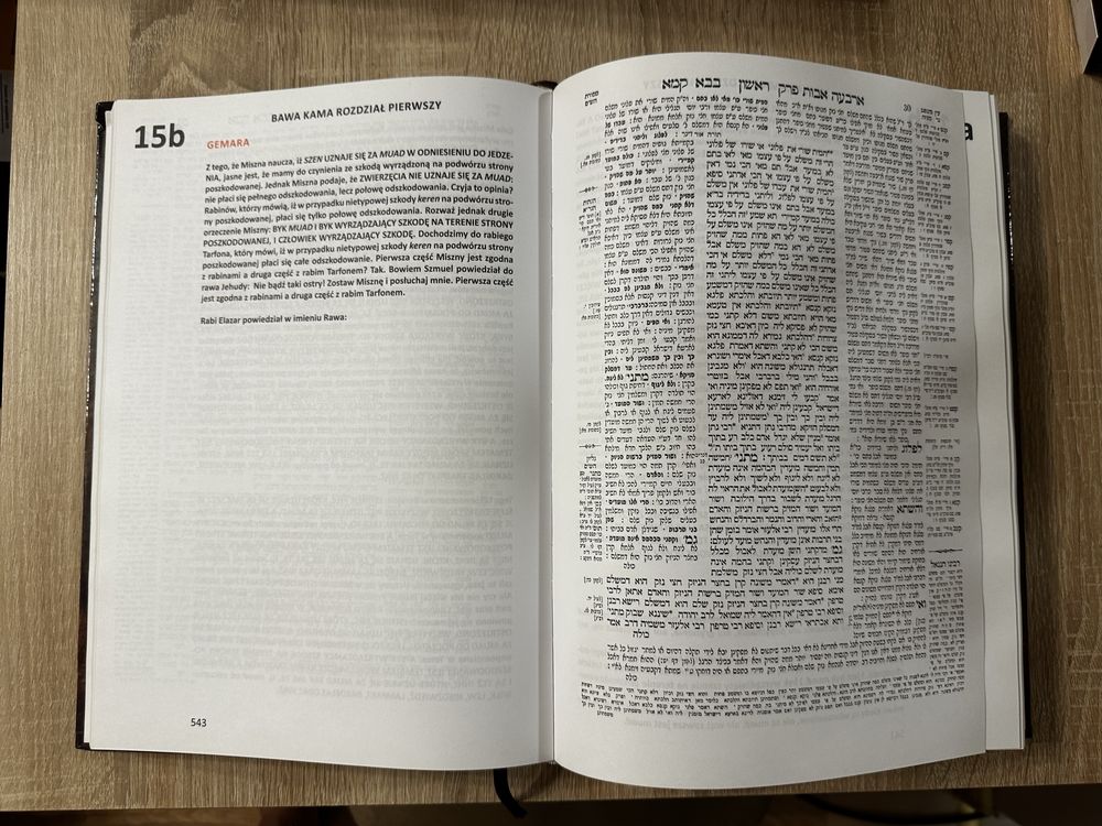 Talmud babiloński. Tora Pardes. Sacha Pecaric.