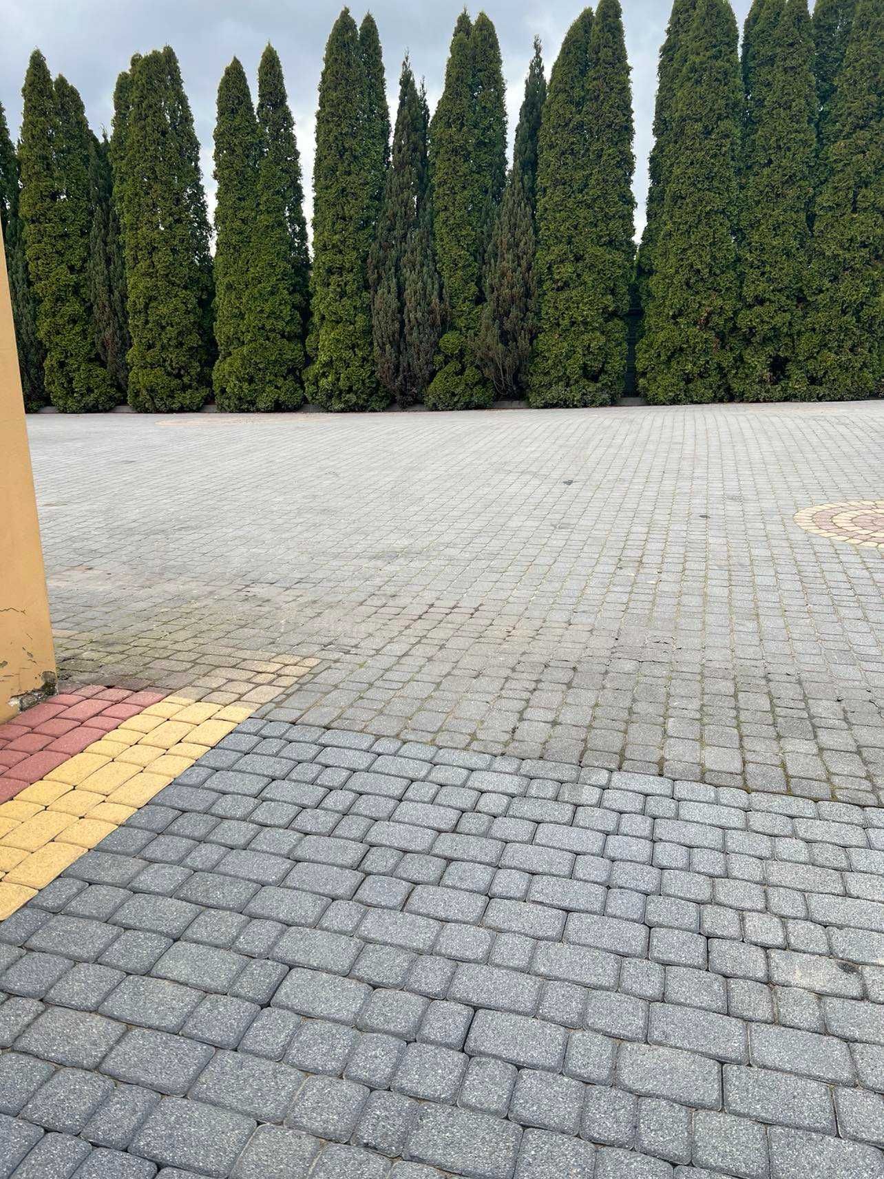profesjonalne mycie kostki, elewacji, ogrodzeń oraz wielu innych!
