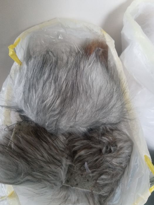 Na pompony lub brody