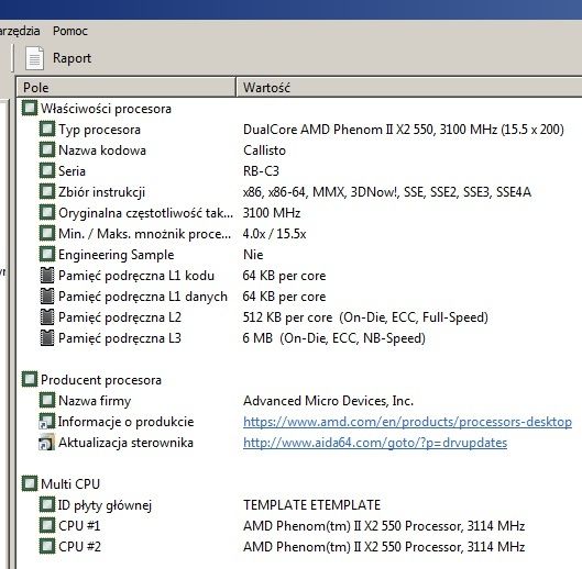 Phenom II X2 550 AMD 3100MHz AM2+ procesor z chłodzeniem