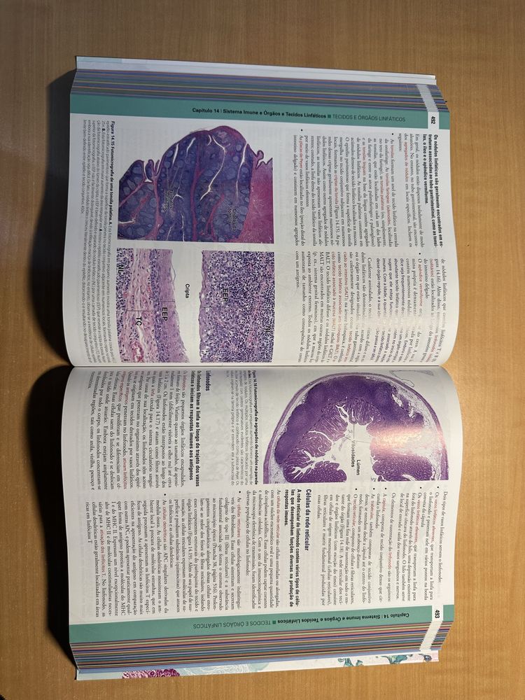 ROSS Histologia (Texto e Atlas) 8ªedição em Português
