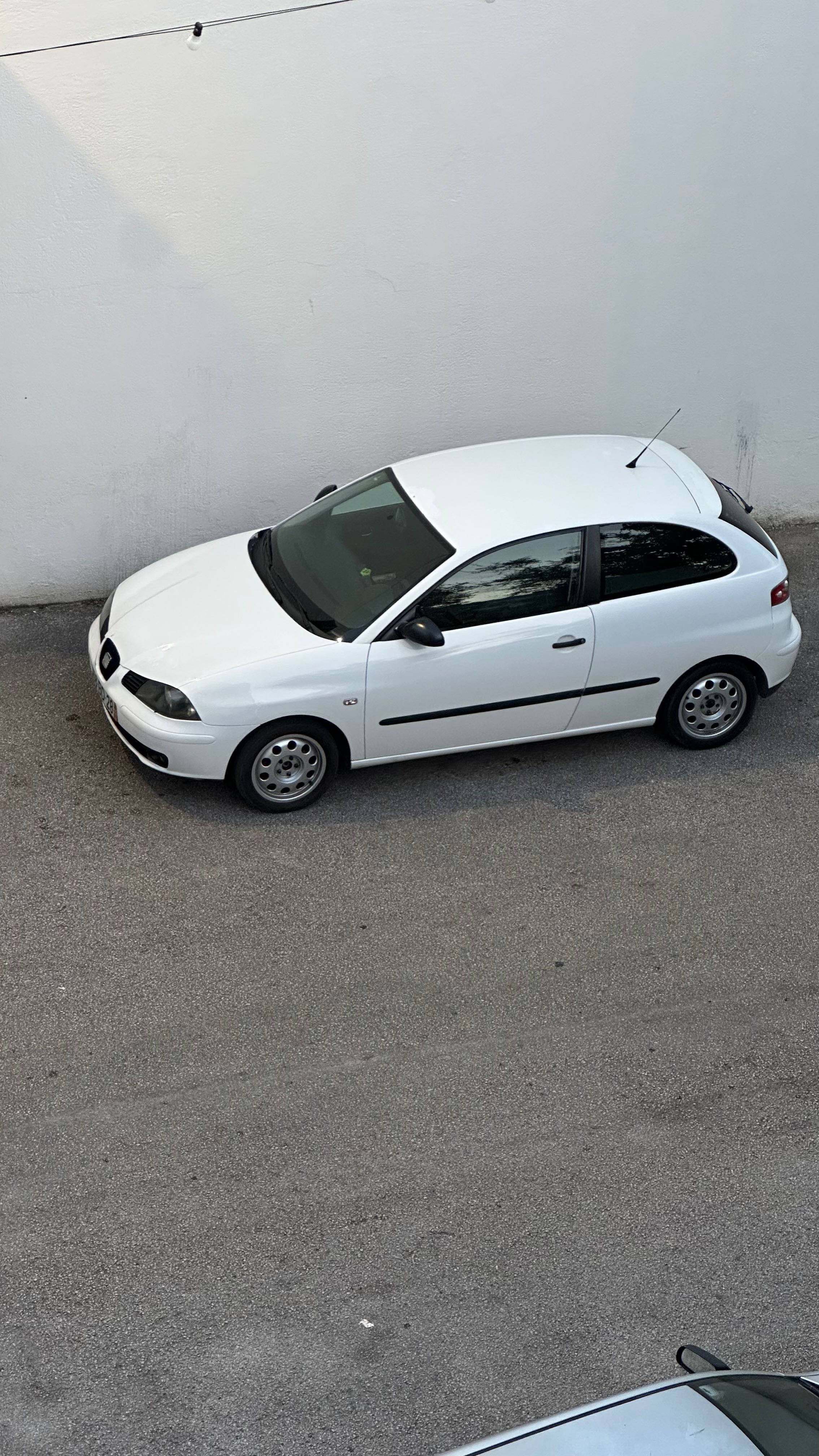 Seat Ibiza 6l swap pd100