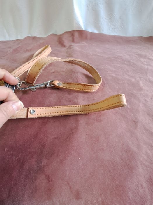 Nowa smycz dla psa 24