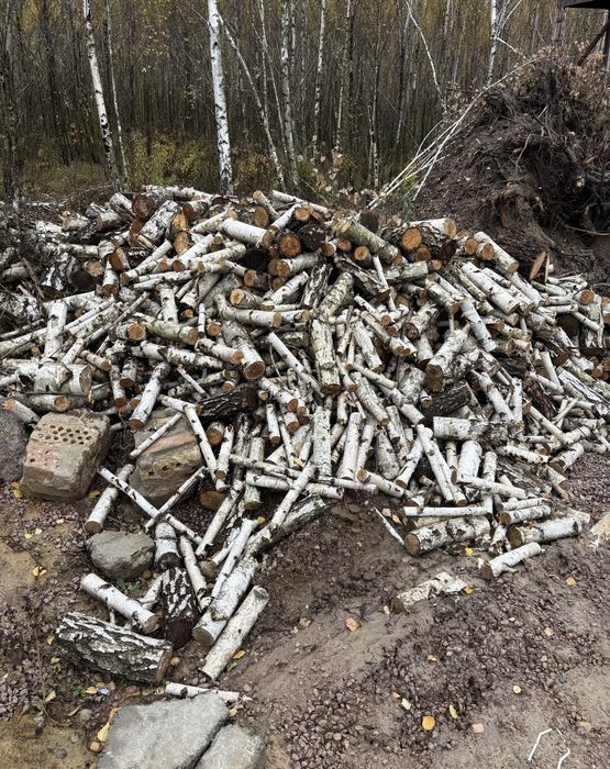 Дрова березові(не колені)