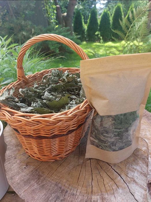 Ostrożeń warzywny, Czarcie żebro 30g