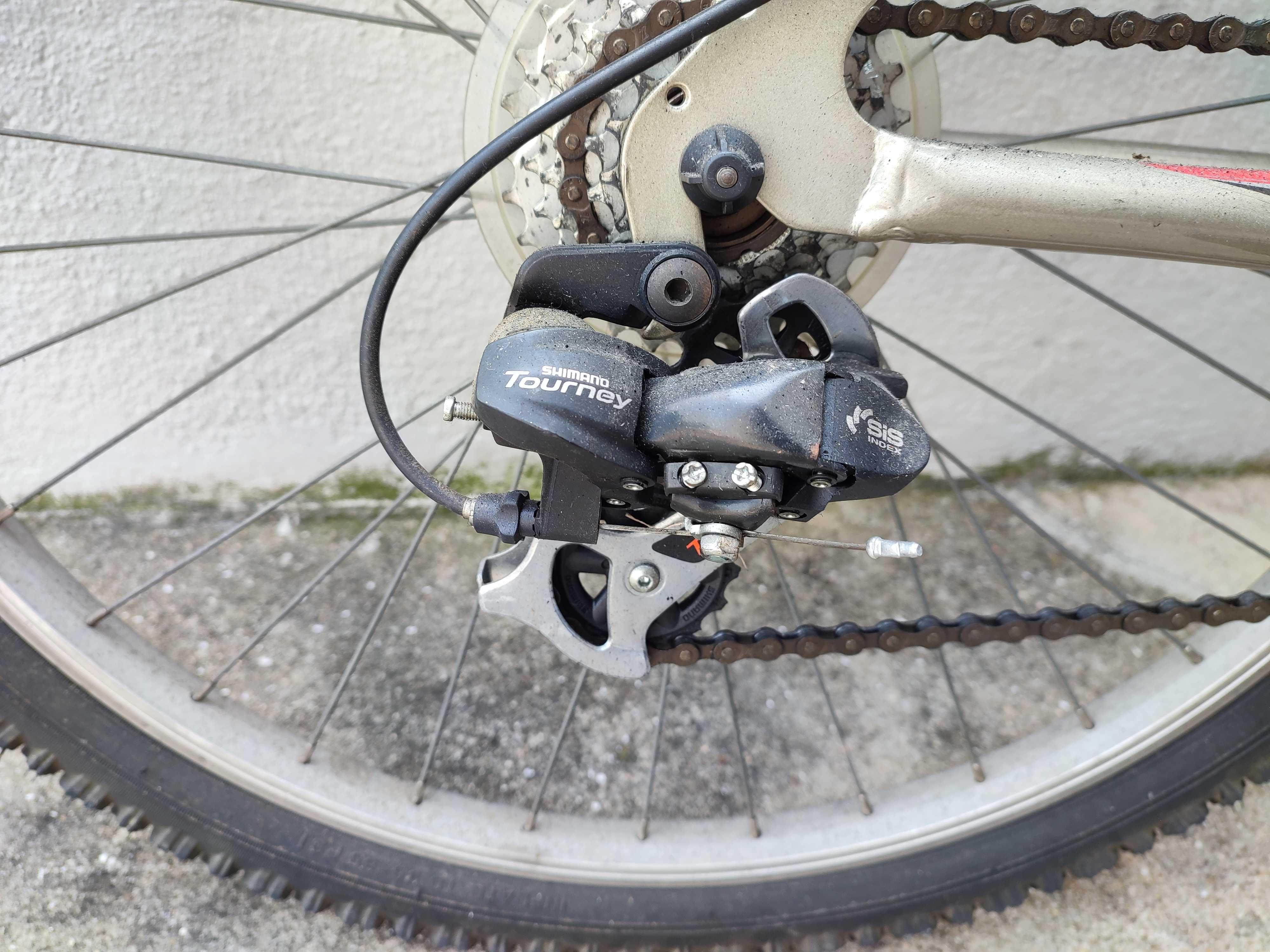 Bicicleta de adulto