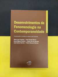 Desenvolvimento da Fenomenologia na Contemporaneidade