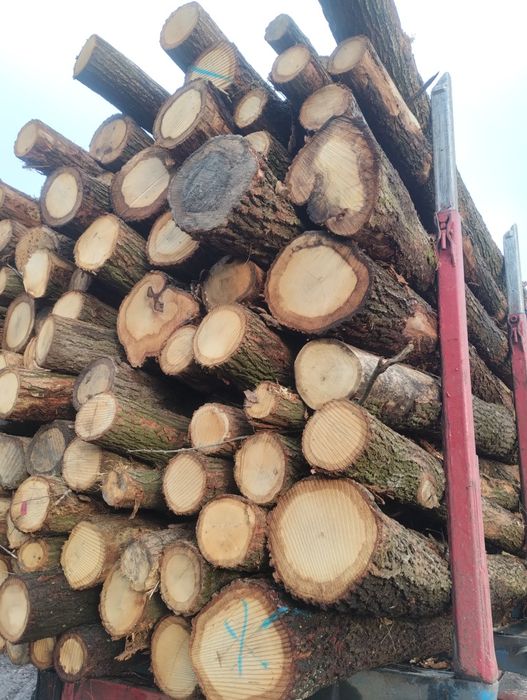 DĘBOWE kominkowe  opał, drewno  Transport 5mp. Sosna, brzoza, olcha