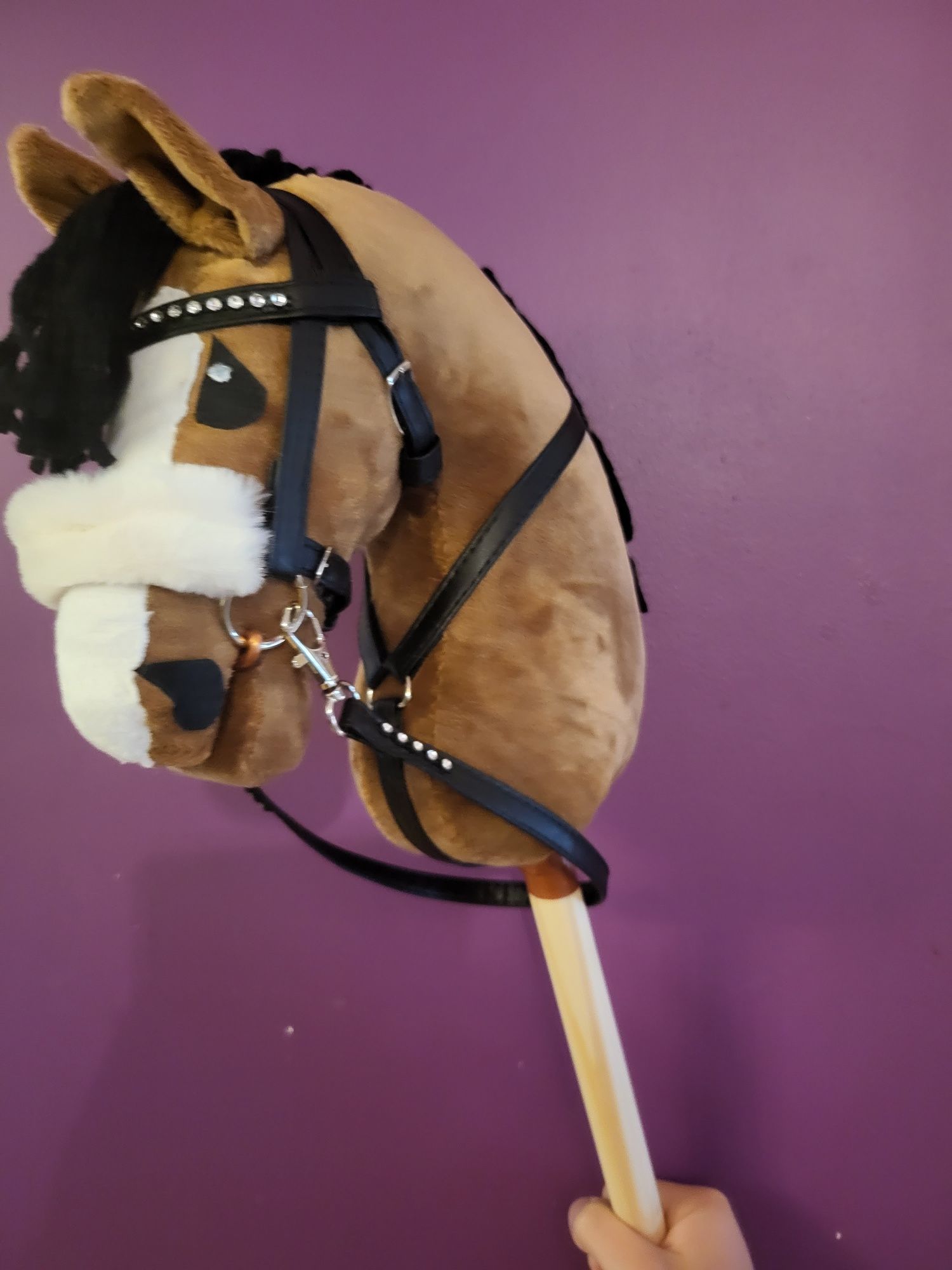 Happy hobby horse