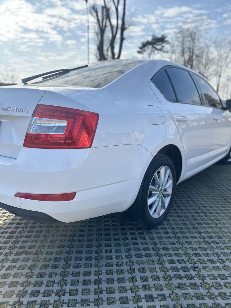 Skoda octavia a7 avtomat
