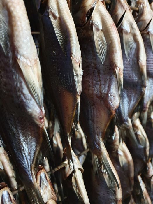 Рыба вяленая опт и розница. Тарань,Лещ,Чехонь,Синець,Густыря