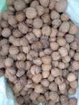 Ekologiczne orzechy włoskie niełuskane z własnego ogrodu 2 kg