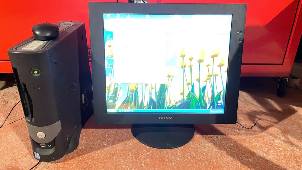 Monitor 18" Sony SDM-S81R