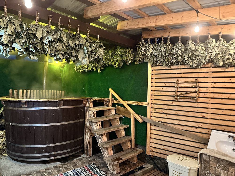Будиночок в Карпатах