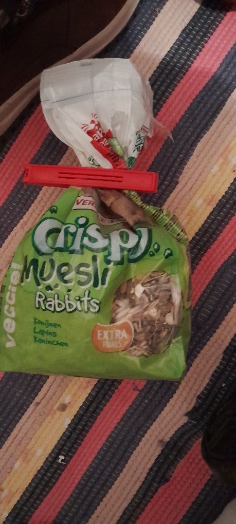 Kit completo de um coelho