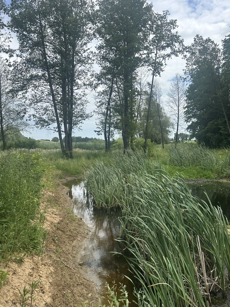 Dzałka nad jeziorem z linią brzegowa