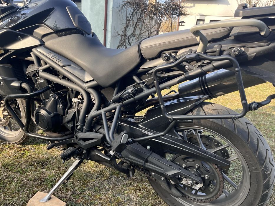 triumph toger 800