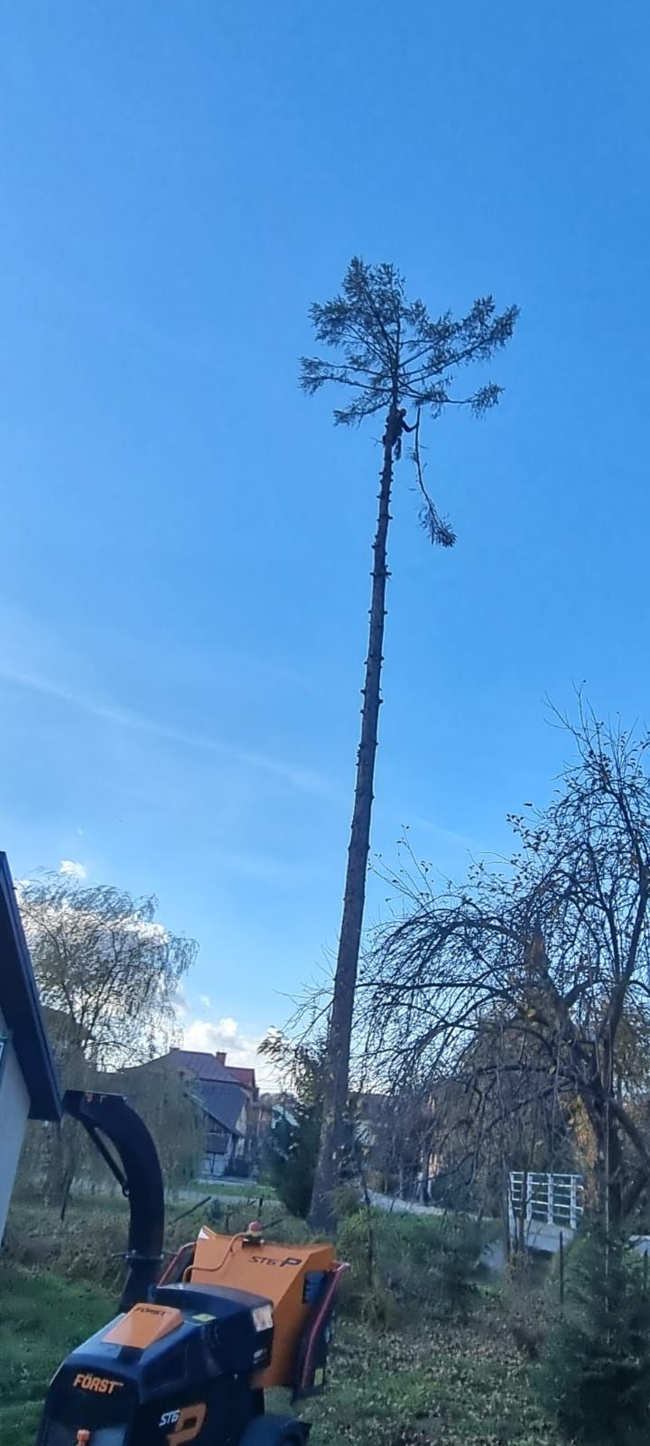 Wycinka drzew, pielęgnacja, usługi rębakiem