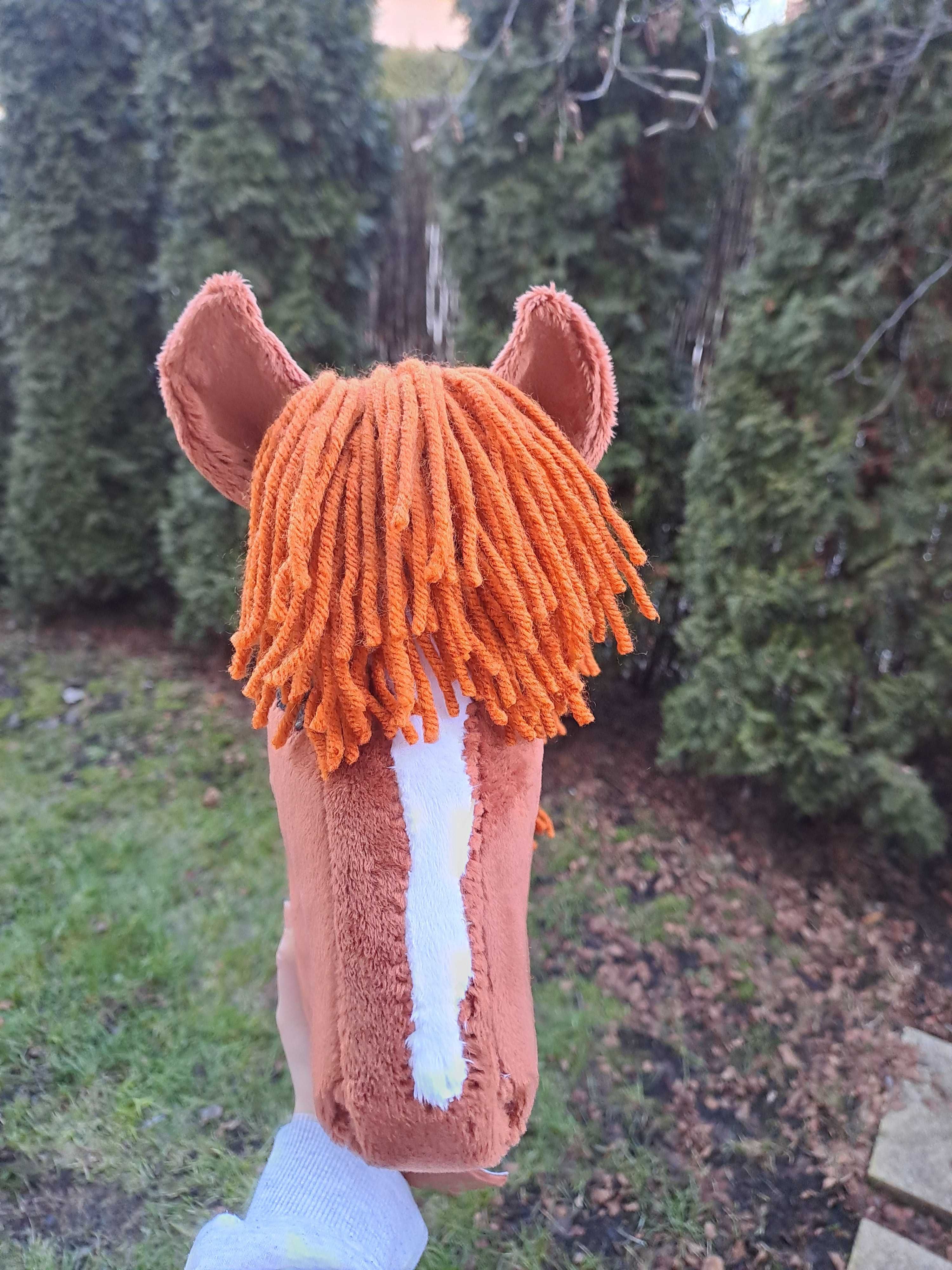 Hobby horse kasztanowaty