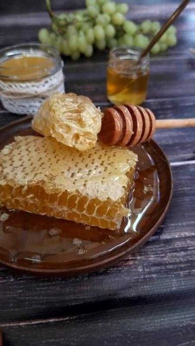 Продам мед в сотах Копичинці