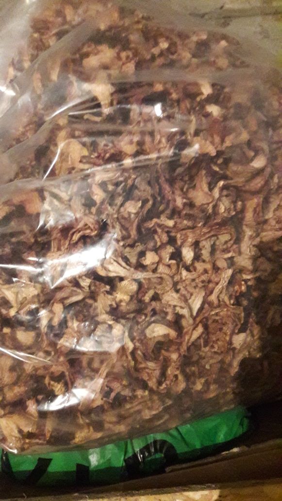Продам сушение белие гриби разних сортов