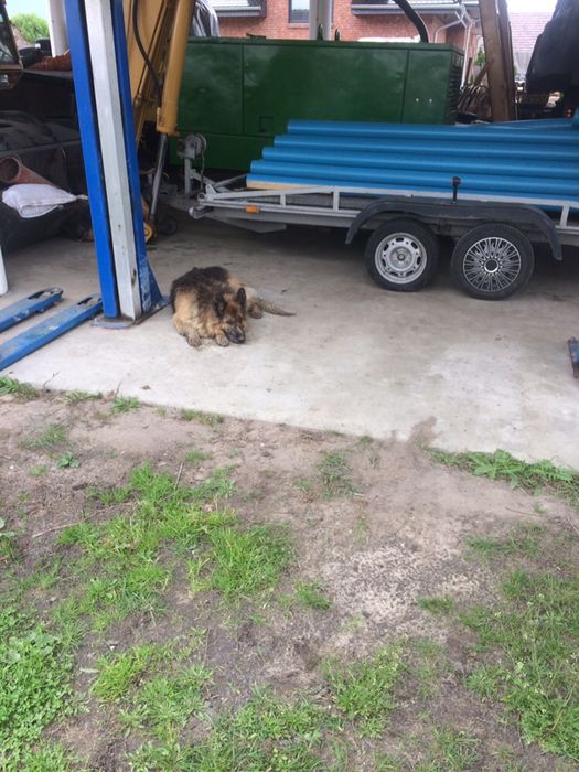 Wiercenie studni, pomp ciepła, studnia głębinowa