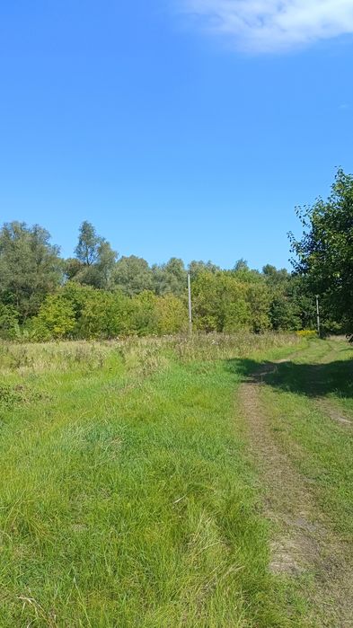 Продам ділянку в селі Літочки Броварського району