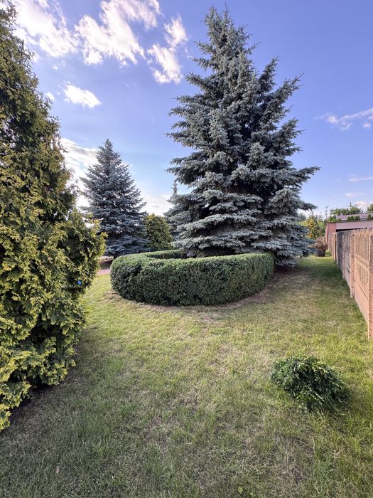 Комплексний догляд за ділянкою