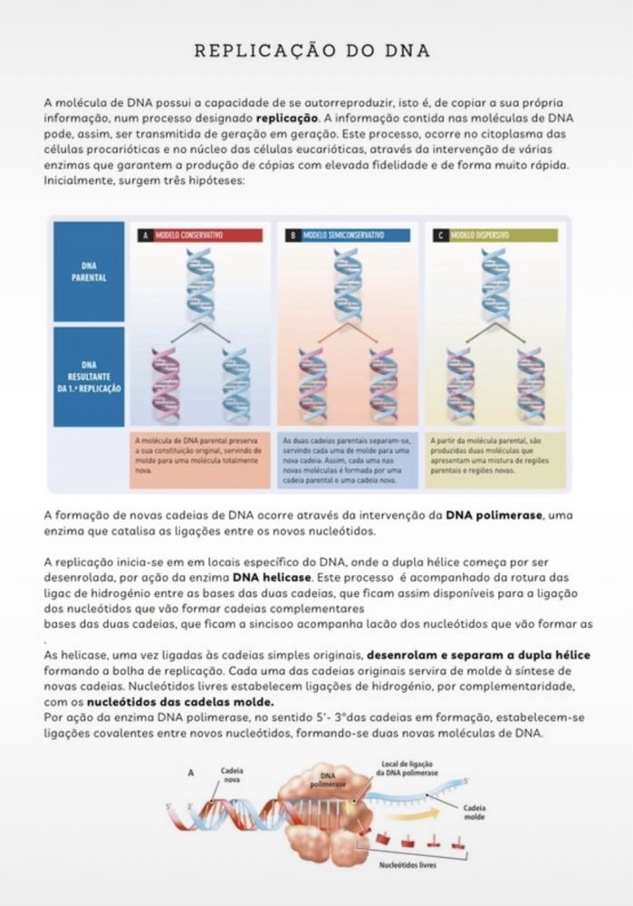 Resumos biologia 11º