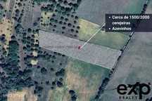 Terreno de 2500 m2 com Cerejeiras em Veiga, Tuizelo, Portugal