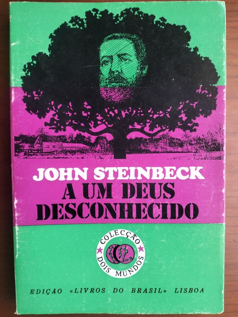 Livro A Um Deus Desconhecido'