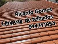 Limpeza de telhados/Pinturas,Canalização,remodelações,jardins