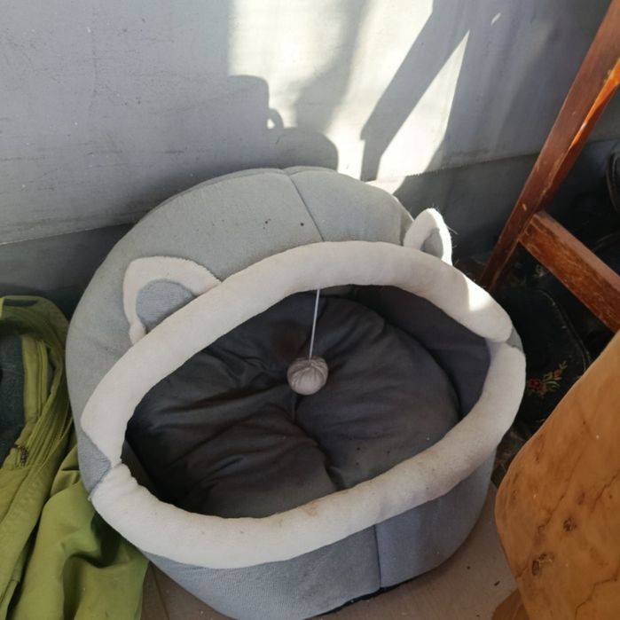 Хатка для котів олх