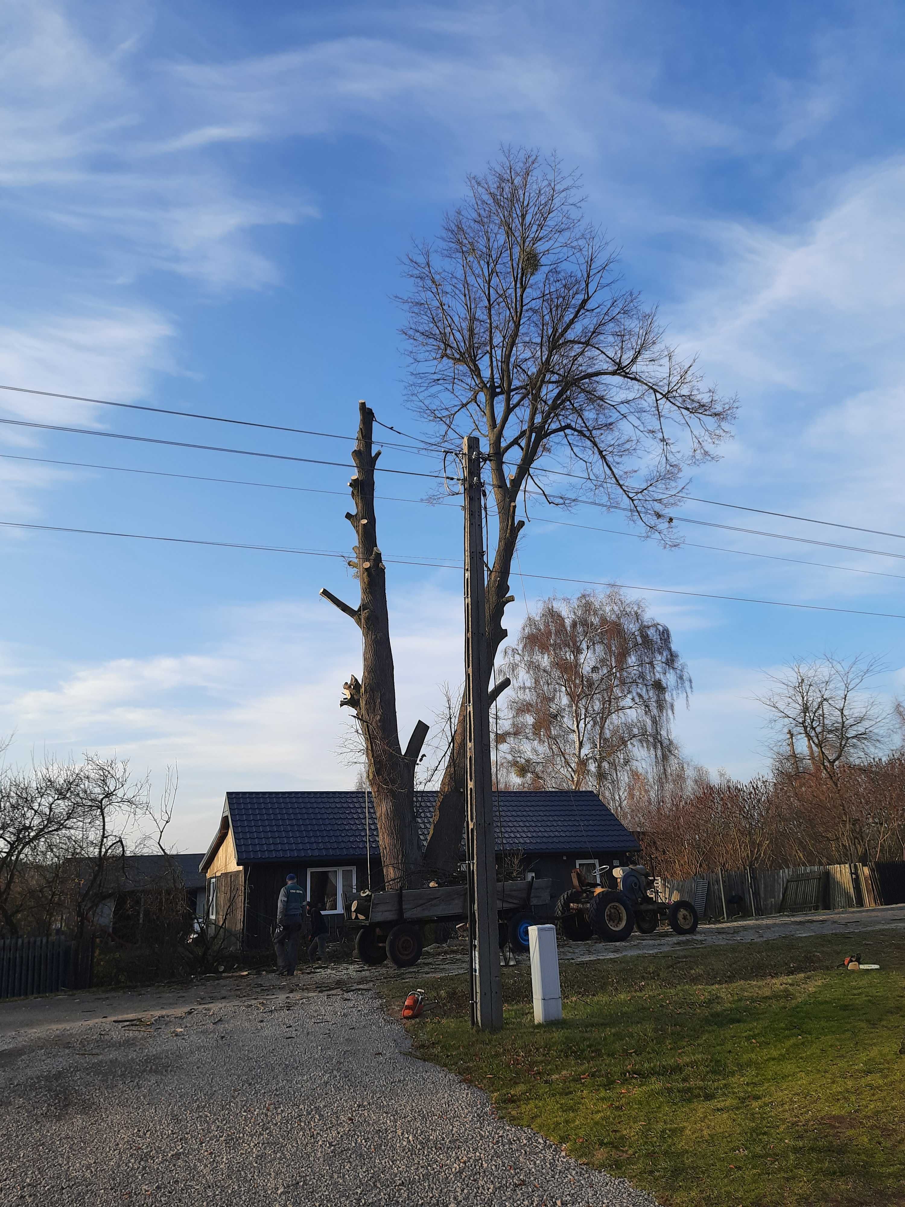 Wycinka drzew, uslugi zwyżką,sciaganie dronow,uslugi rebakiem