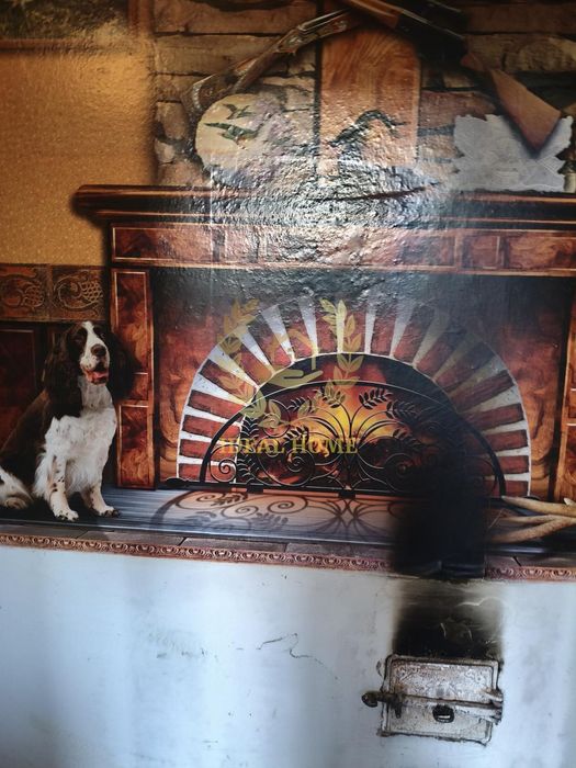 Продаж будинку в Пищиках!