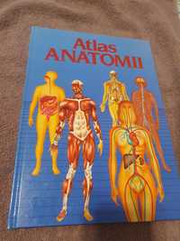 Atlas anatomii wiedza i życie Olczak ortega