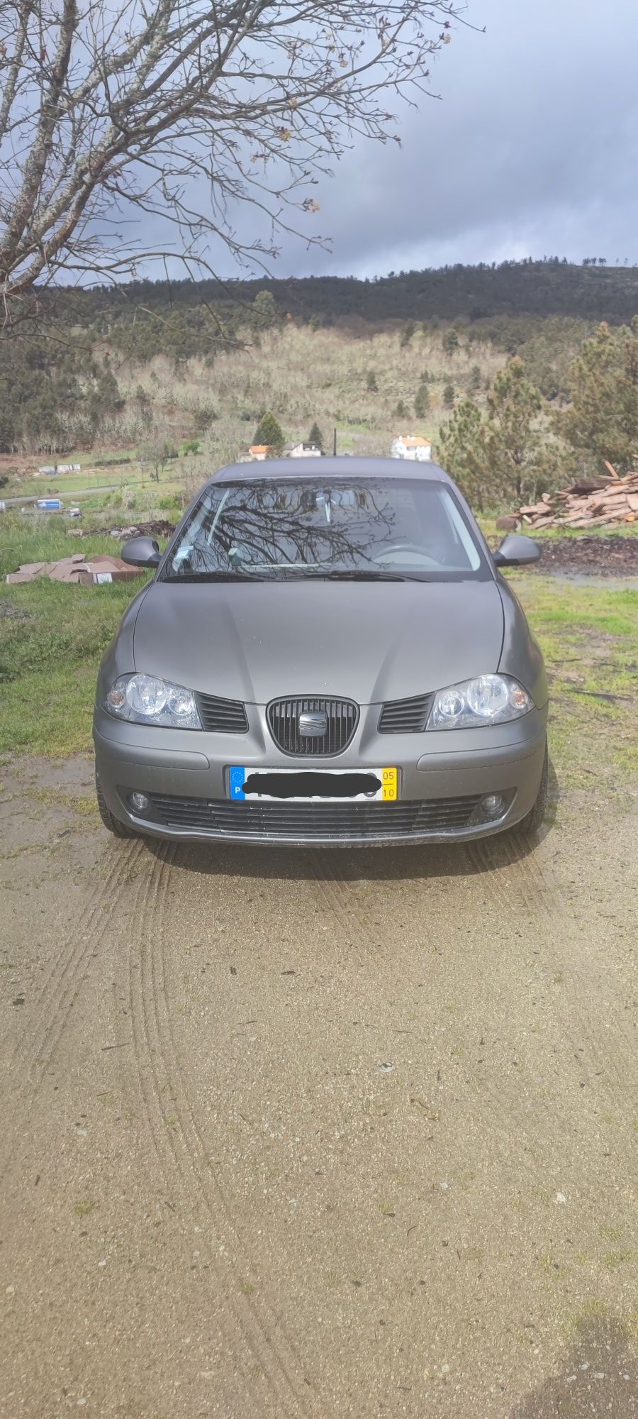 Seat Ibiza 6L PD100