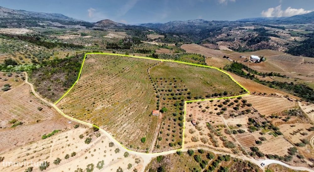 Terreno com 75230 m2 em Sendim - Tabuaço | Viseu