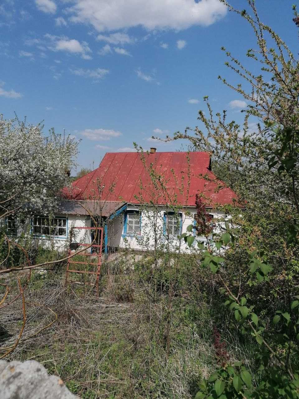 Пропозиція для поціновувачів мешкати поруч з лісом
