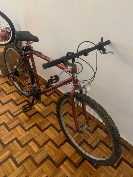 Bicicleta Adulto